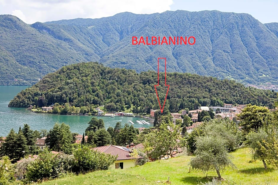 Balbianino