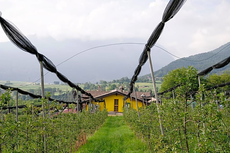 Agritur Maso alle Rose B&B e Restaurant