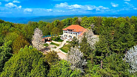 Cetatuia