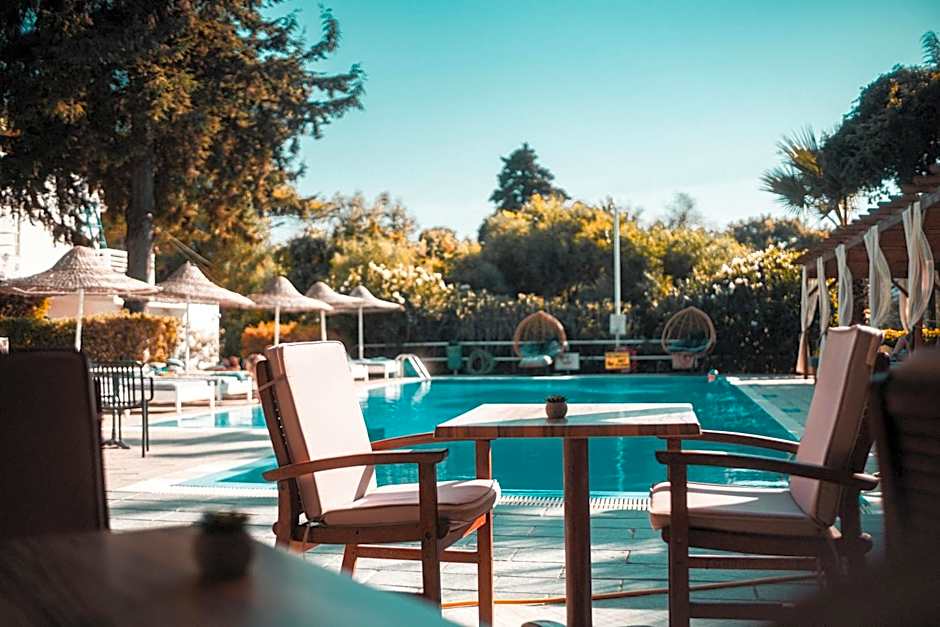 Trees Art Hotel & Suites