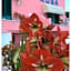 Hotel Casa Rosa Sea & Spa