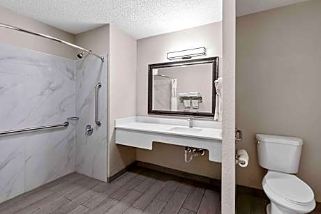 1 King Bed Mobility Accessible Room Smoking