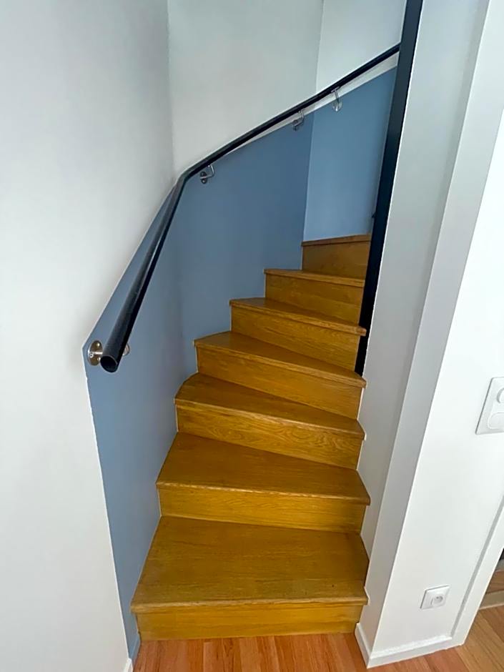 THEIA - Limoges Centre