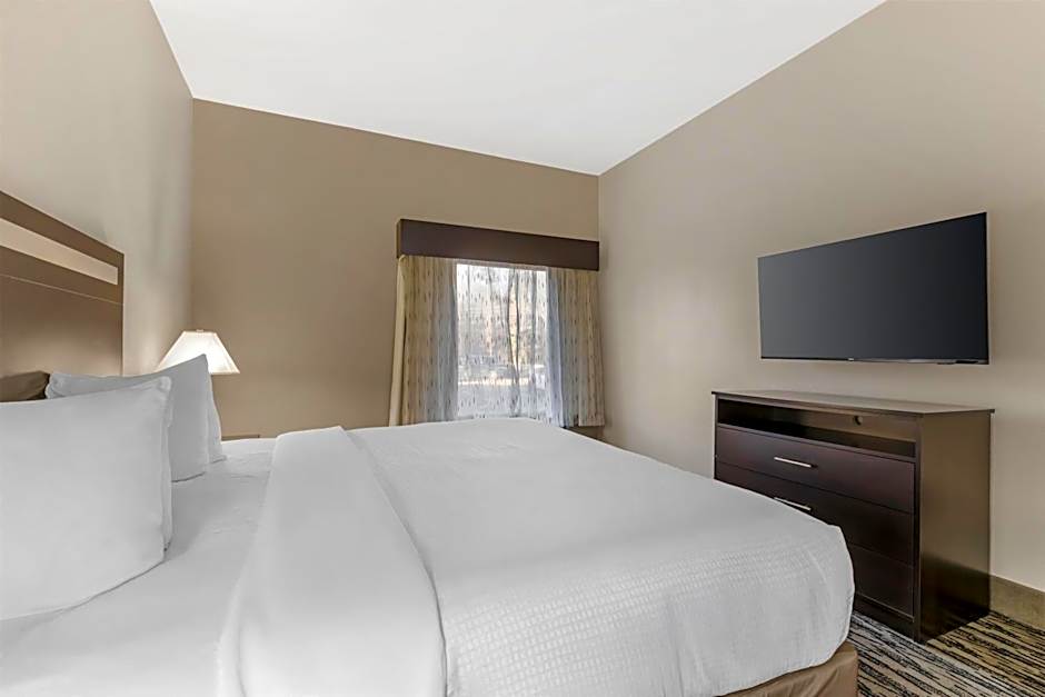 Best Western Plus McDonough Inn & Suites