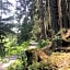 Natur & Wander Hotel Gassbachtal