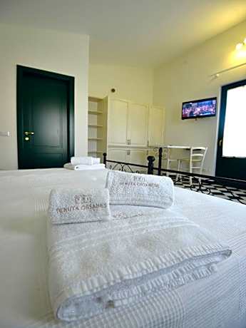 Studio with Garden View