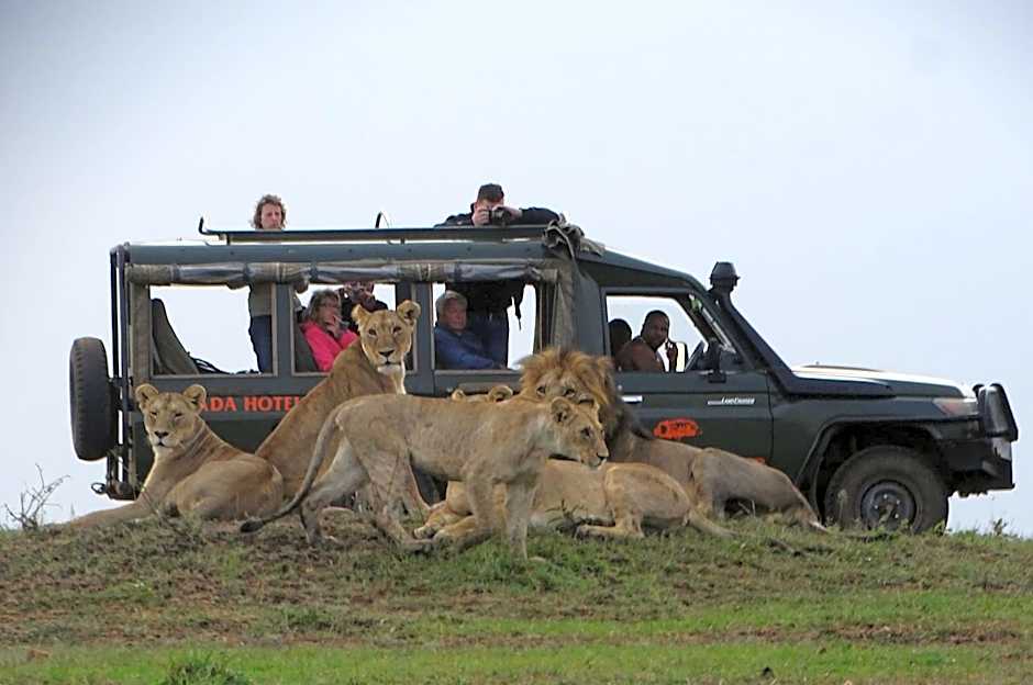 Fig Tree Camp - Maasai Mara