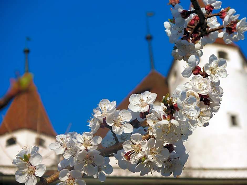 Hotel Restaurant Schwert Thun