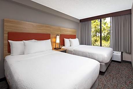 Studio Suite with Two Double Beds and Single Sofa Bed