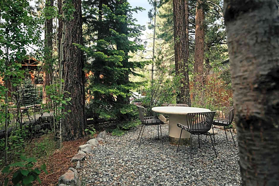 Black Bear Lodge