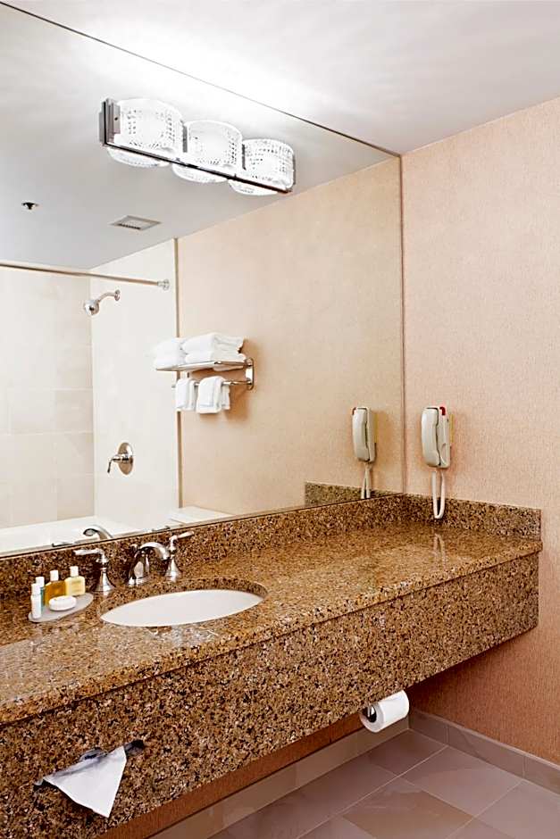 Ann Arbor Regent Hotel and Suites