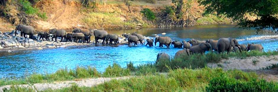 Sangasava Safari Lodge