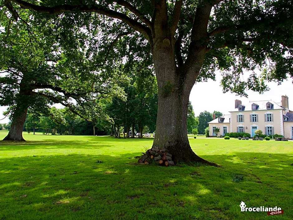 Château Du Pin - Les Collectionneurs