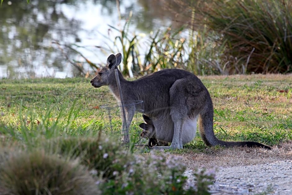 Messmates Luxury Eco Suites