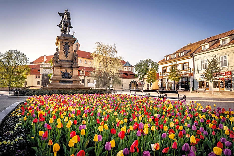 Hotel Bellevue Tlapak