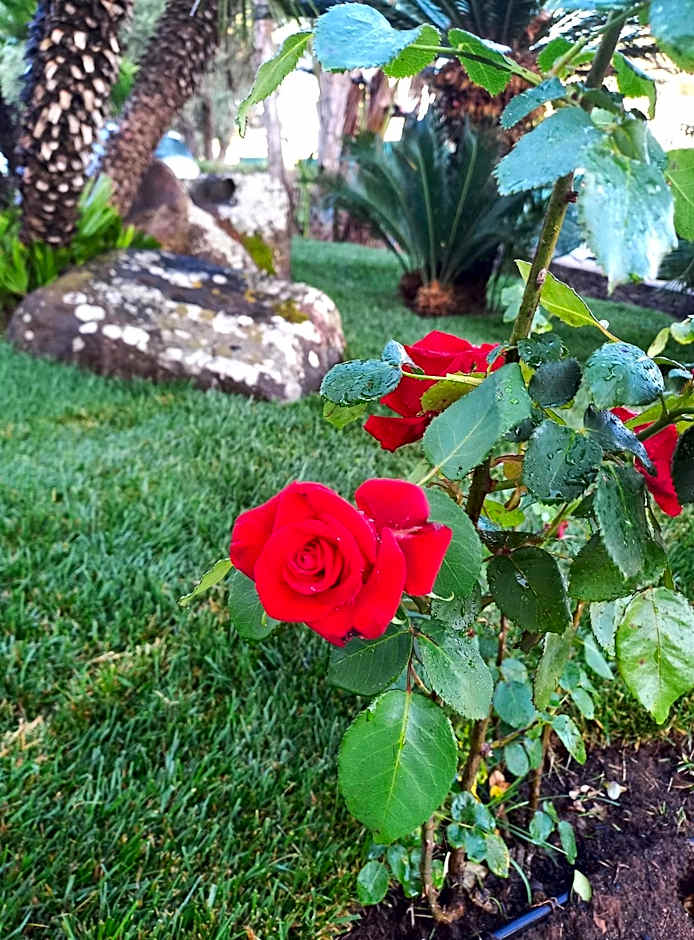 Green Sporting Club Hotel