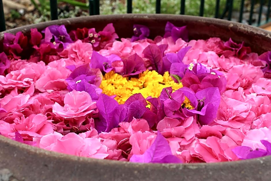 Hotel Alpino Atlantico Ayurveda Cure Centre - Adults Only