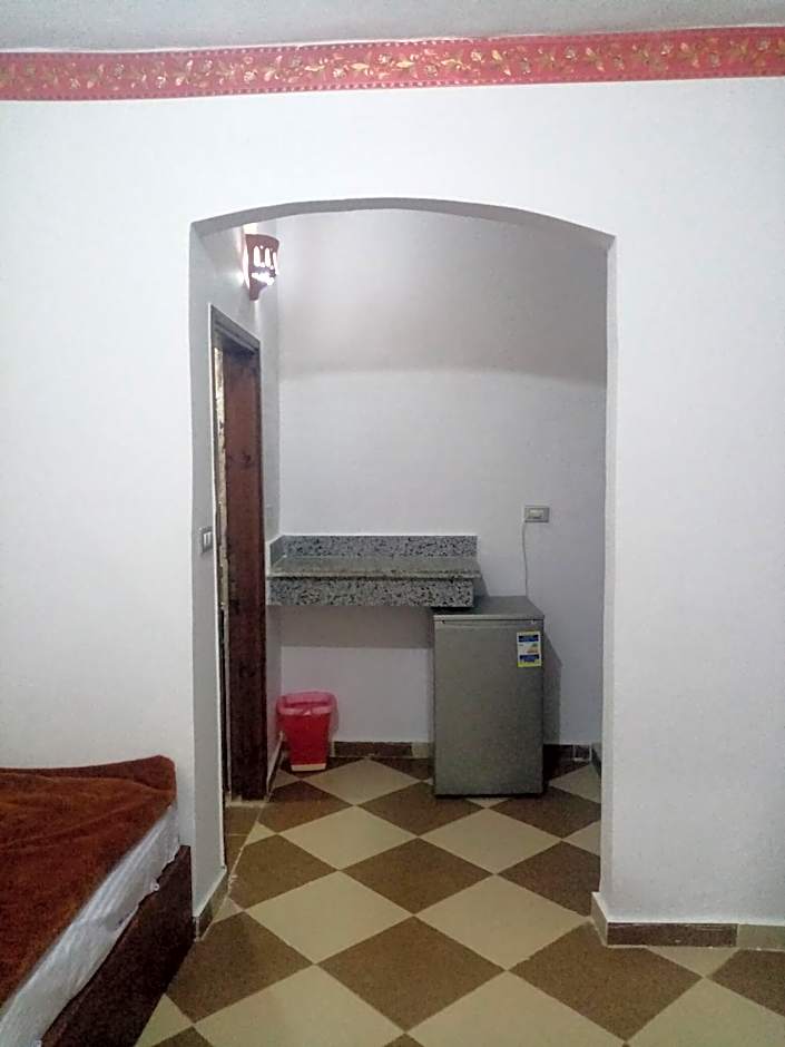 Oasis Fighting Kangaroo