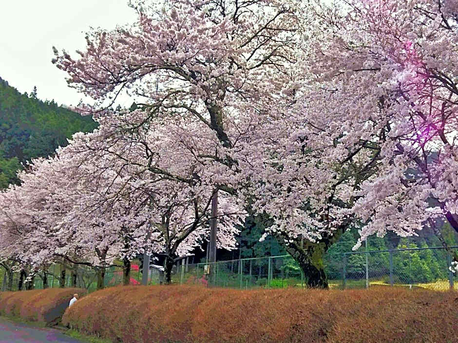momijigawa onsen