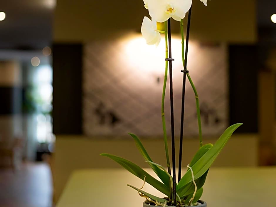 ibis Besançon la City