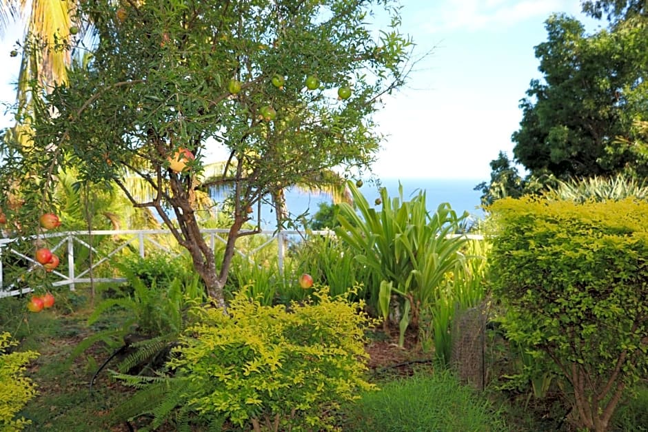 Saint Leu - Chambre 3 épis avec PDJ piscine en pleine nature vue mer - Bardzour