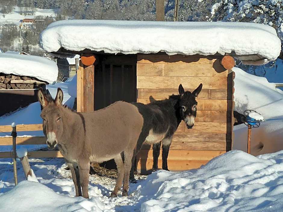 Le Bois des Louison