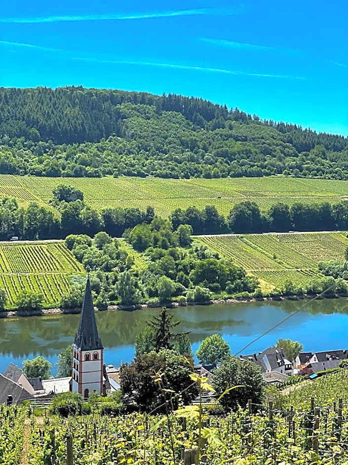 Boutique Guesthouse Das WOHLGEMUTH HEIM Mosel Weingut