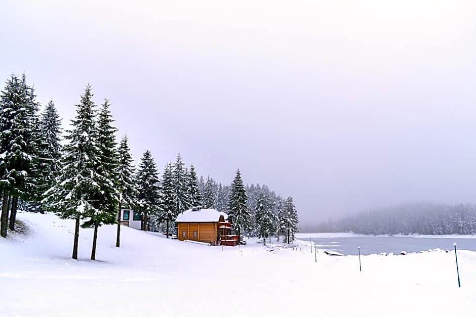 Romantica Forest Guest House
