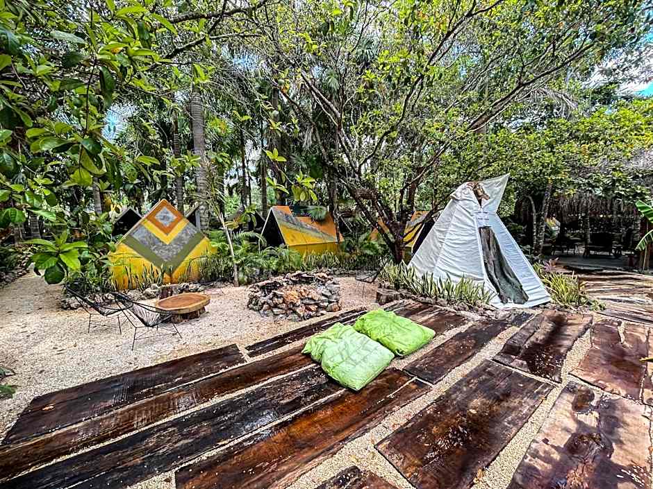 Bufo Alvarius Sanctuary Bacalar