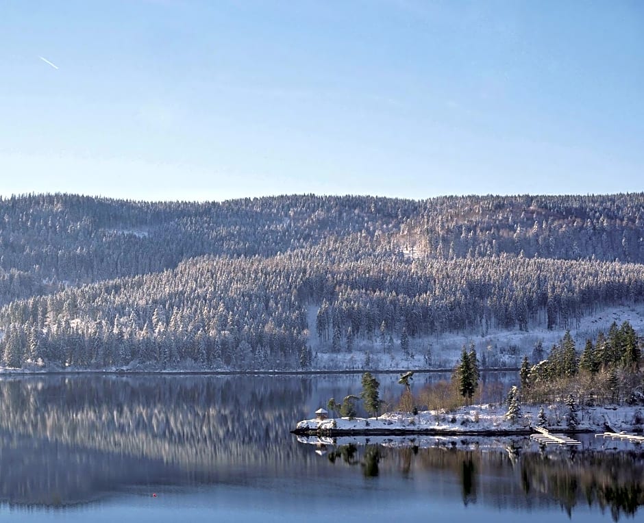 Wochner's Hotel-Sternen Am Schluchsee Hochschwarzwald