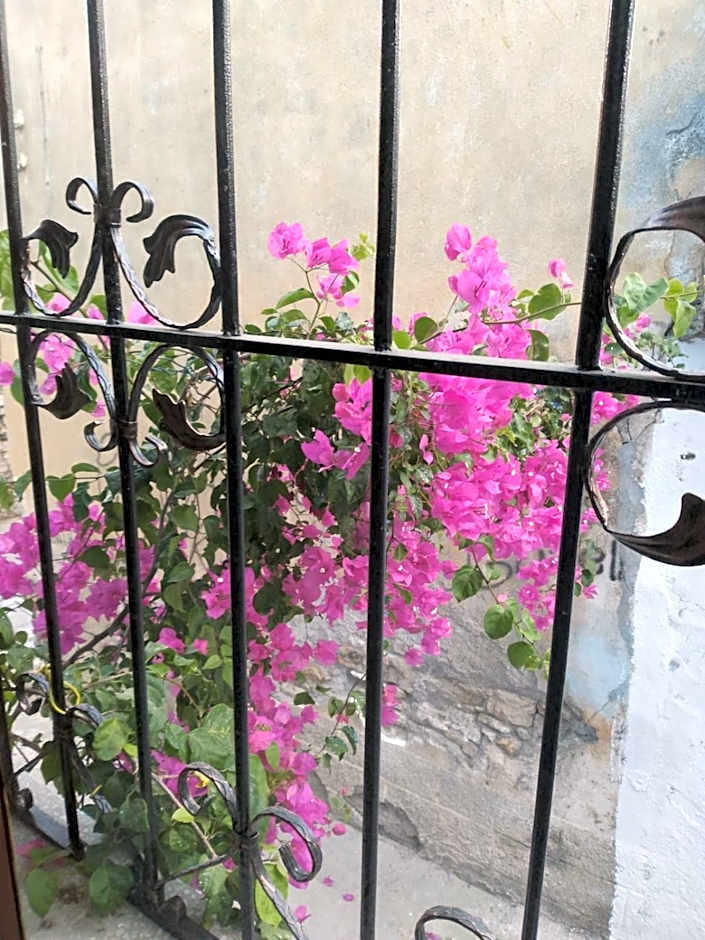 Casa Magnolia Boutique Rooms