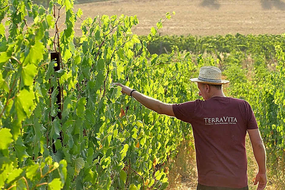 TerraVita Winery & Boutique Apartments