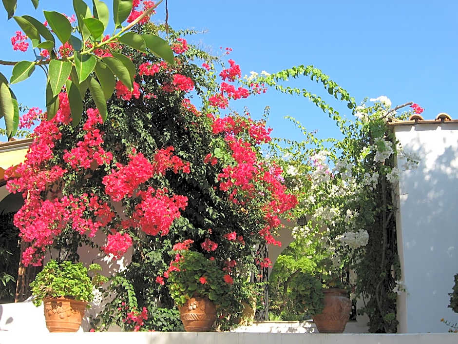 Hotel Punta Rossa