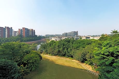 Room, 1 King Bed, Park View