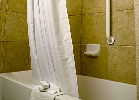 1 King Bed Nonsmoking