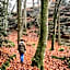 Gasthof zur Burgruine
