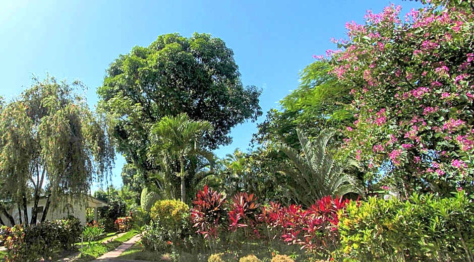 Hotel La Rosa de America