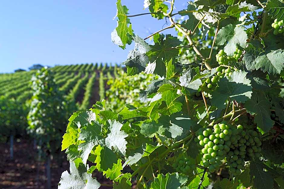 Hotel Restaurant Zum Nachtwächter