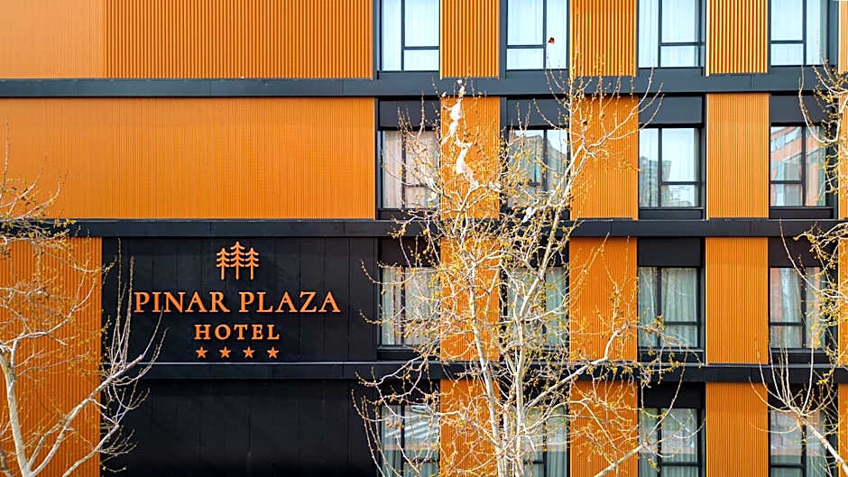 Hotel Pinar Plaza