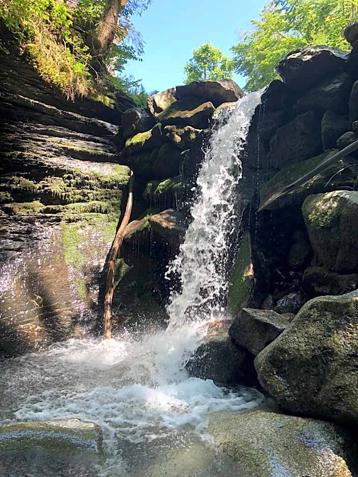 Le Moulin des Olirics