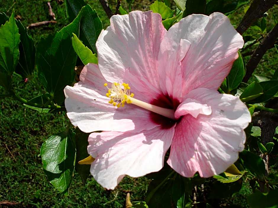 Verdemare Sardegna Uno