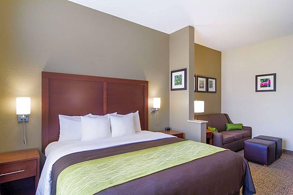 Comfort Inn Blackshear Hwy 84