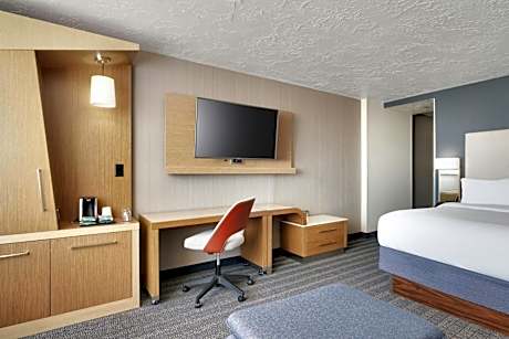 King Room with Sofa Bed and Roll-in Shower - Mobility and Hearing Accessible