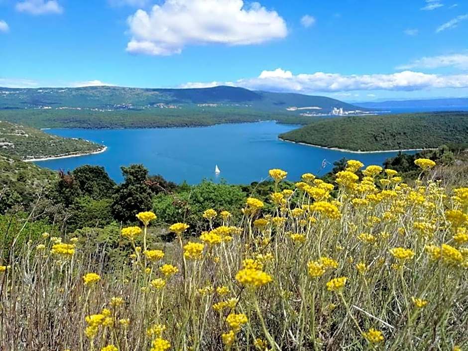 Villa Pietro Comfortable holiday residence