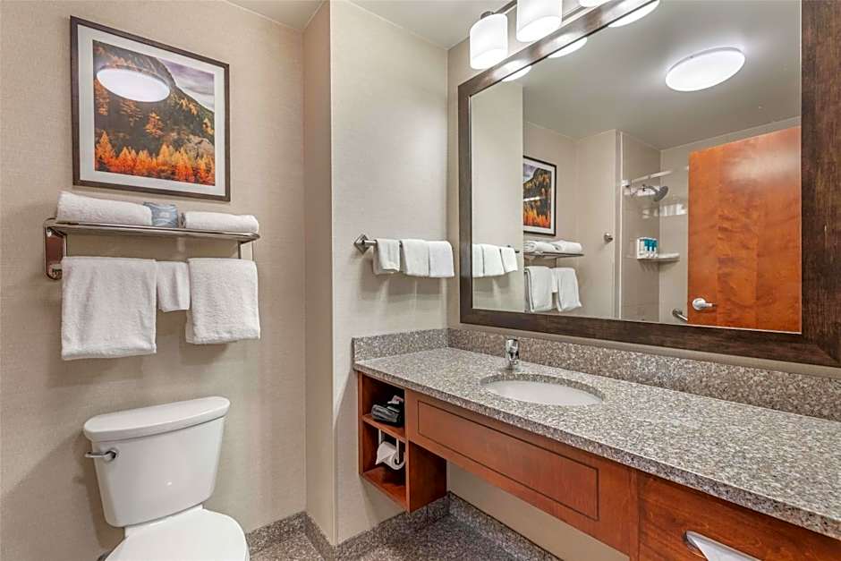 Drury Plaza Hotel Denver Central Park