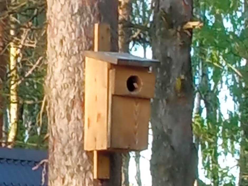 Domek na Mazurach Leśne Zacisze