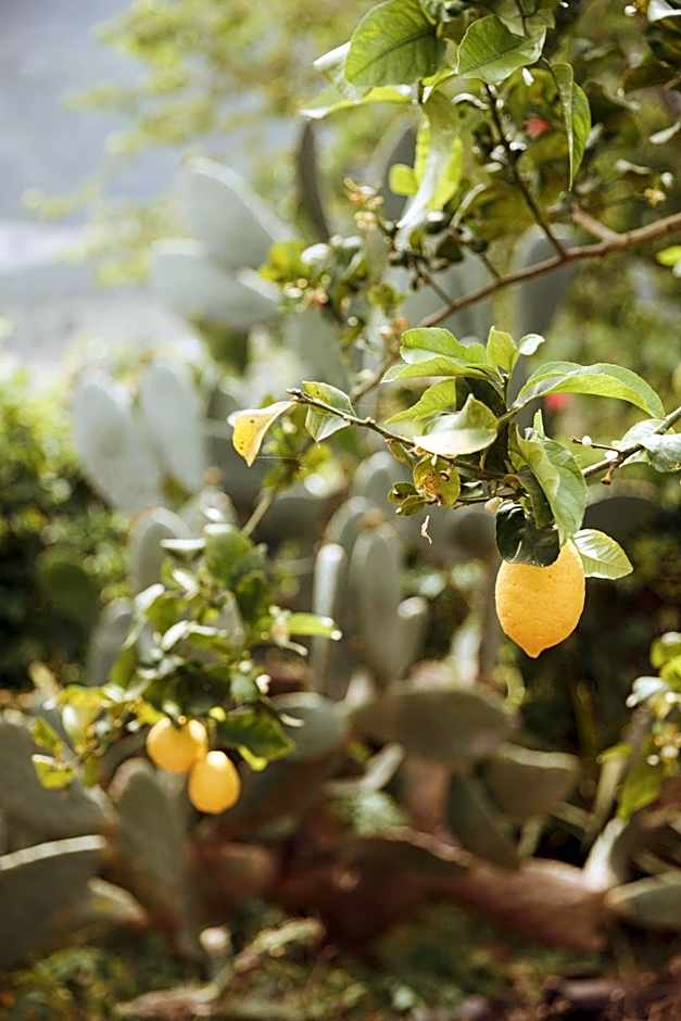 Sunny Garden Aparthotel