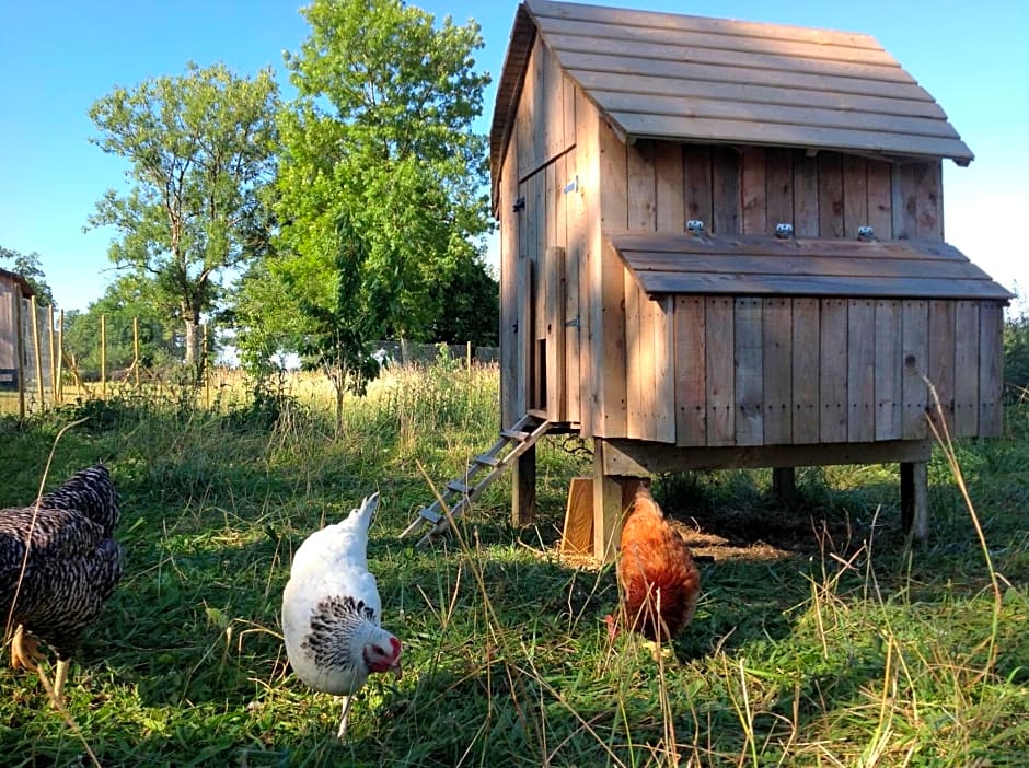 Au rythme d Arduinna