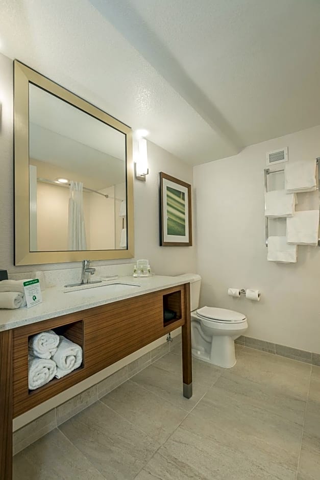 Holiday Inn Hotel and Suites Peachtree City, an IHG Hotel