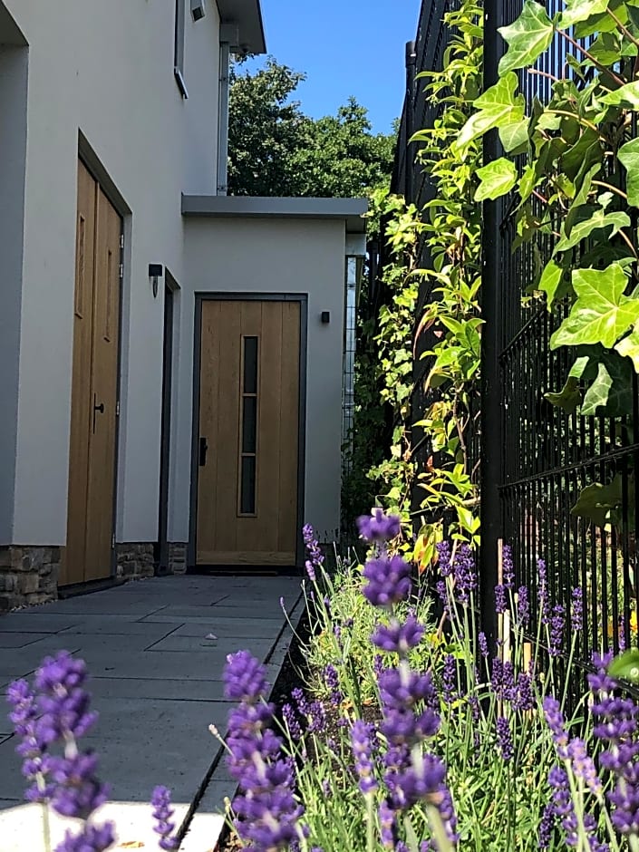 Luxe B&B "In de Schulp", ontspan en geniet van comfort en stijl
